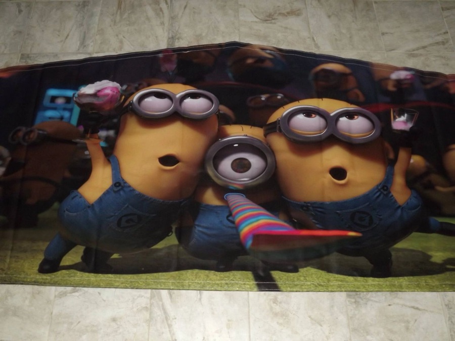 Minions bounce house theme banner